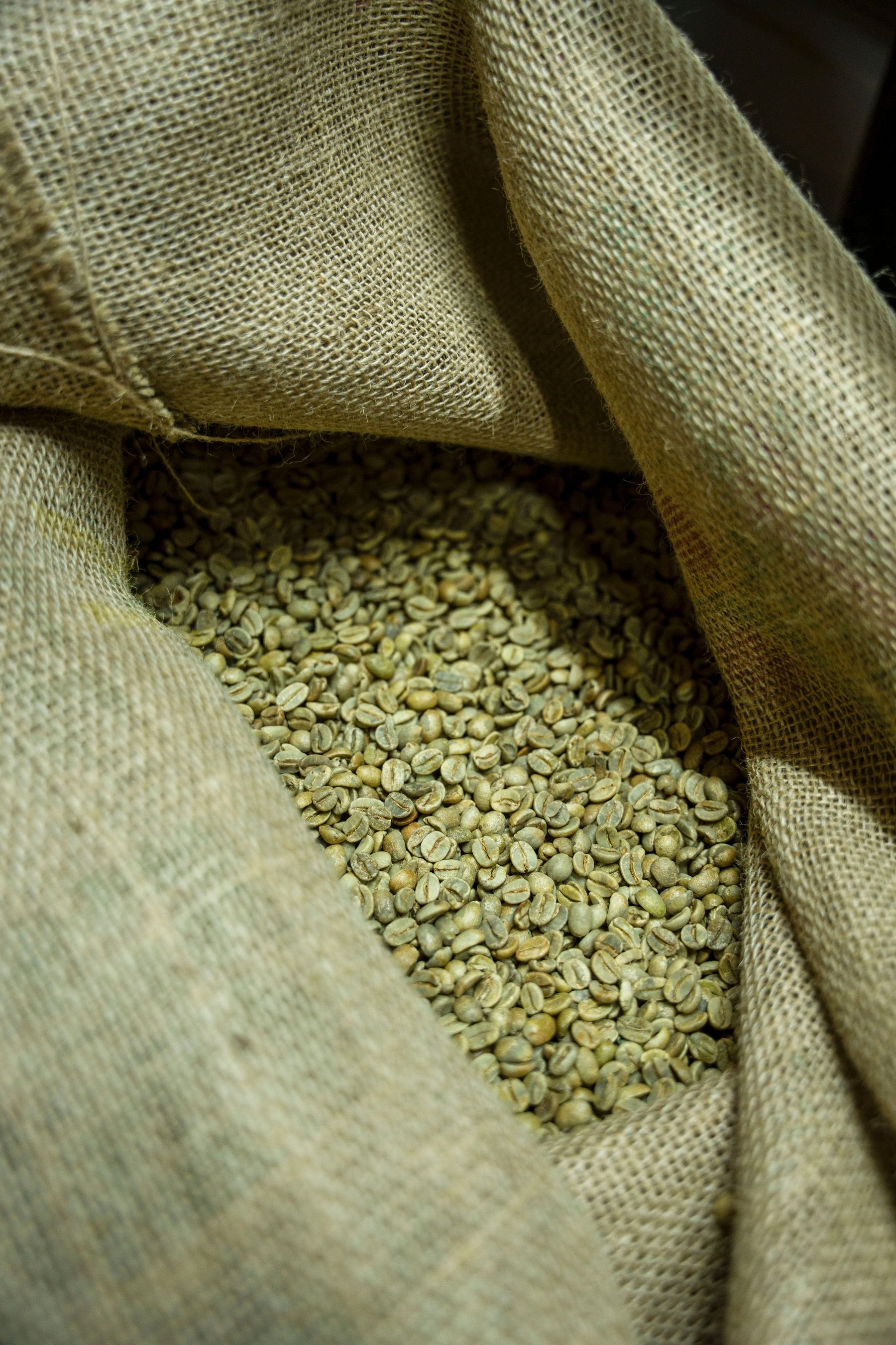 Green coffee beans inside a jute sack